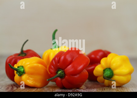 Heiße rote und gelbe Adjuma Paprika mit Textfreiraum Stockfoto