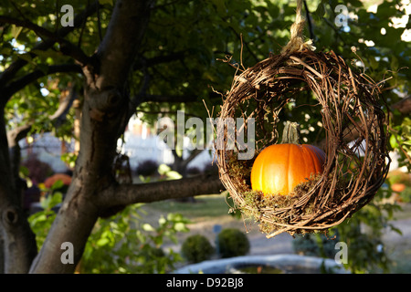 Kürbis von Grapevine Kranz in Baum hängen Stockfoto