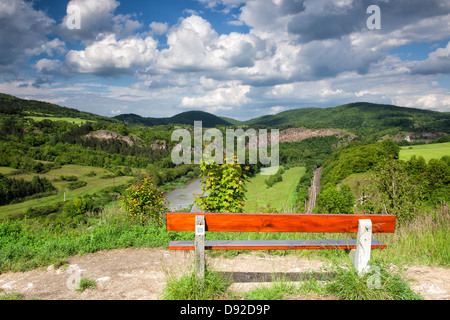 Blick vom Berg ins Tal mit dem Fluss Berounka Stockfoto