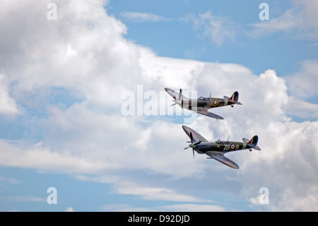 Zwei Supermarine Spitfire Mk.5 Flugzeuge fliegen in Formation. Stockfoto