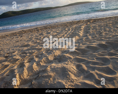 Sea Turtle Spuren am Zoni Strand nach Mama Eiablage Stockfoto