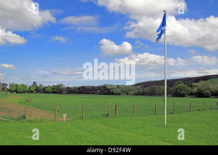 Saltire oder St. Andrews Kreuz, schottische nationale Flagge an Schlacht von Philiphaugh Wiese, Nr Selkirk, Grenzen, Schottland, UK Stockfoto