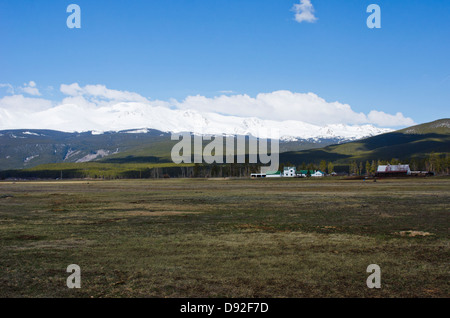 Eine große Farm am Fuße des Mount Massive, in der Nähe von Leadville, Colorado, hat ihre Pflanzung im Frühjahr begonnen. Stockfoto