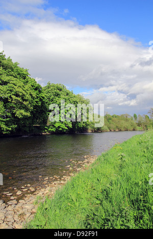 Fluss Annan, Annandale, Dumfries und Galoway, Schottland, Großbritannien Stockfoto