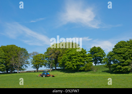 Landwirt Heu-Making an Berrier, im Lake District National Park, North Cumbria, England UK Stockfoto