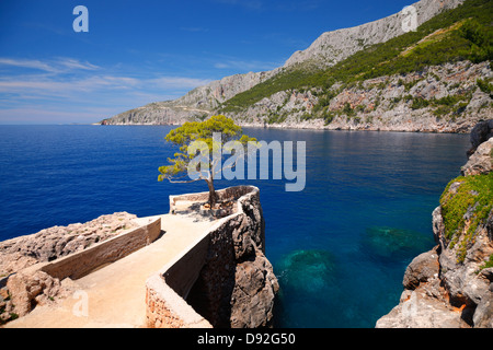 Natur-Landschaft in st. Nedjelja auf Insel Hvar in Kroatien Stockfoto