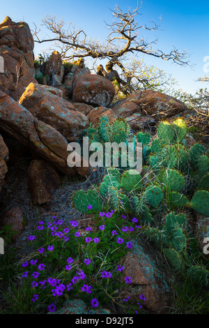 Elk Mountain in Wichita Mountains Wildlife Refuge, Oklahoma Stockfoto