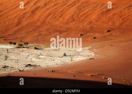 Touristen, tote Bäume (gedacht, um 900 Jahre alt sein) und Sanddünen am Deadvlei, Namib-Naukluft-Nationalpark, Namibia, Afrika Stockfoto