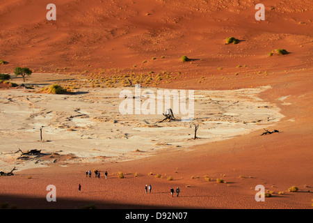 Touristen, tote Bäume (gedacht, um 900 Jahre alt sein) und Sanddünen am Deadvlei, Namib-Naukluft-Nationalpark, Namibia, Afrika Stockfoto