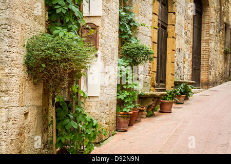 Alte Straße geschmückt mit Blumen, Italien Stockfoto