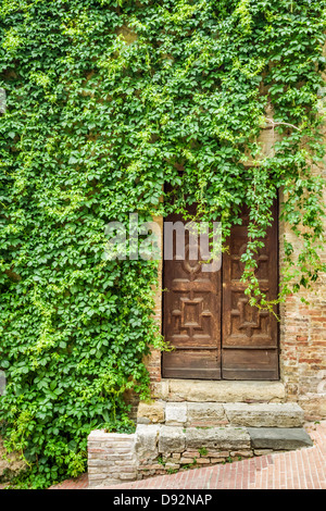 Alten Efeu bewachsenen Haus mit Holztür Stockfoto