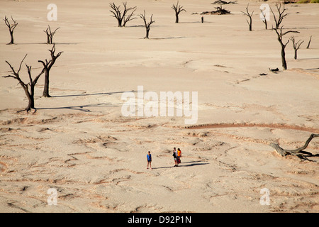 Tote Bäume (gedacht, um 900 Jahre alt sein), Touristen und Sanddünen am Deadvlei, Namib-Naukluft-Nationalpark, Namibia, Afrika Stockfoto