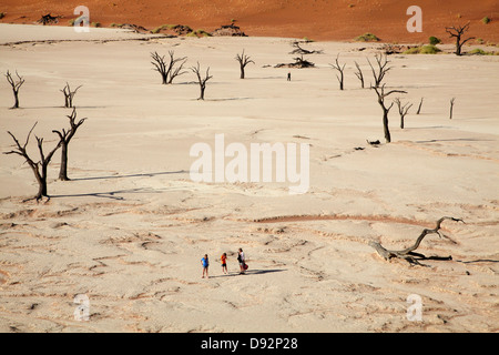 Tote Bäume (gedacht, um 900 Jahre alt sein), Touristen und Sanddünen am Deadvlei, Namib-Naukluft-Nationalpark, Namibia, Afrika Stockfoto