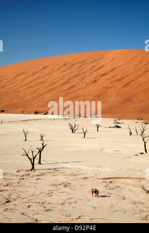 Tote Bäume (gedacht, um 900 Jahre alt sein), Touristen und Sanddünen am Deadvlei, Namib-Naukluft-Nationalpark, Namibia, Afrcia Stockfoto