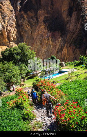 Wunderschoener Oase in den Colca Canyon, Peru Stockfoto