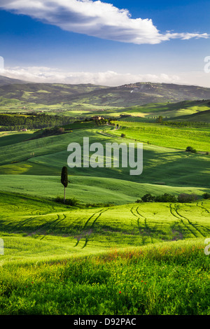 Schöne Aussicht auf den Sonnenuntergang über dem grünen Tal Stockfoto