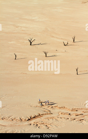 Tote Bäume (gedacht, um 900 Jahre alt sein) und Touristen am Deadvlei, Namib-Naukluft-Nationalpark, Namibia, Afrika Stockfoto