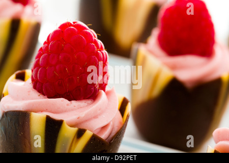 Kleine Schokolade Reaspherry Tulpe Tassen an Dessert-Bar. Stockfoto