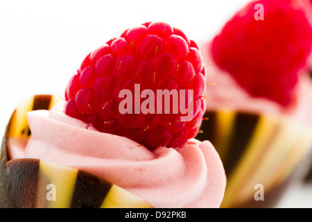 Kleine Schokolade Reaspherry Tulpe Tassen an Dessert-Bar. Stockfoto