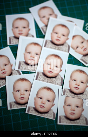 Mehrere Brieftasche Größe Passfotos eines Babys auf eine Schneidematte angeordnet Stockfoto