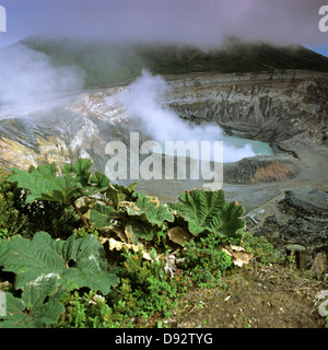 Dampf steigt aus Poas Vulkan, Alajuela, Costa Rica Stockfoto