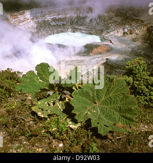 Dampf steigt aus Poas Vulkan, Alajuela, Costa Rica Stockfoto