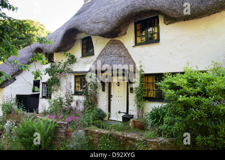 Strohgedeckten Cob Hütte. Ringmore, Devon, England Stockfoto