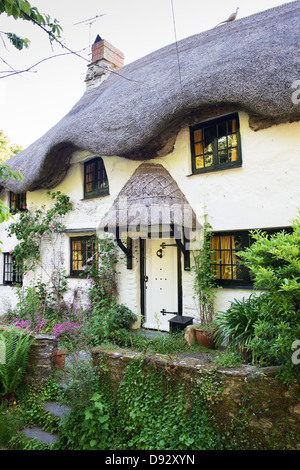 Strohgedeckten Cob Hütte. Ringmore, Devon, England Stockfoto