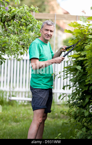 Reifer Mann schneiden Hecke Stockfoto