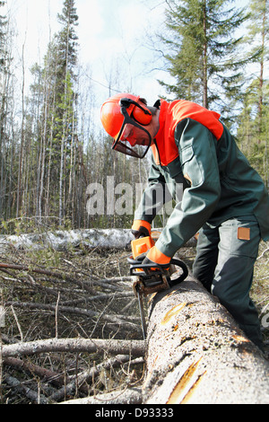 Sägen Baum Mann Stockfoto
