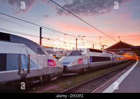 Ein TGV erwartet Abreise am Bahnhof Tours in Frankreich. Stockfoto