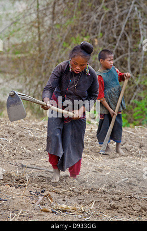 ANN TRIBAL Dorfbewohner Pflügen die Erde per Hand in einem Dorf in der Nähe von KENGTUNG oder KYAINGTONG - MYANMAR Stockfoto