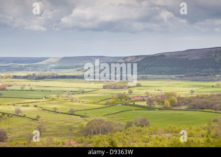 North York Moors Landschaft aus Ton-Bank in der Nähe von Great Ayton. Stockfoto