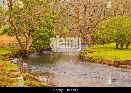 Der Fluß Rothay in der Nähe von Ambleside im Lake District National Park. Stockfoto