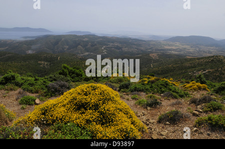 Blick auf Mittelmeer, Landschaft, Argolis, Peloponnes, Griechenland Stockfoto