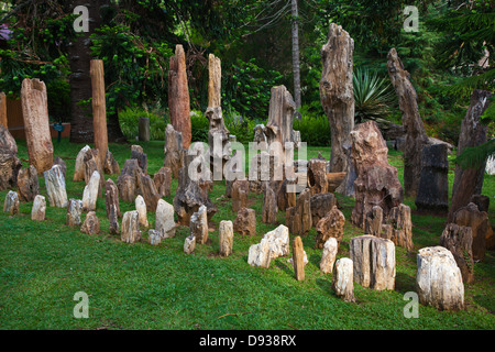 VERSTEINERTES Holz Ausstellung im KANDAWGYI NATIONALGARTEN in PYIN U LWIN auch bekannt als MAYMYO - MYANMAR Stockfoto