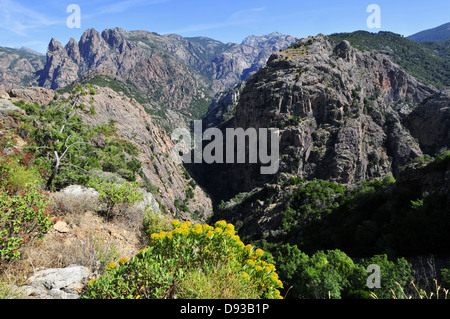 Spelunca-Schlucht, in der Nähe von Evisa, Les Deux-Sevi, Corse-du-Sud, Korsika, Frankreich Stockfoto