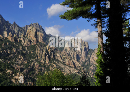 Col de Bavella, Alta Rocca Region, Corse-du-Sud, Korsika, Frankreich Stockfoto
