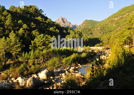 Col de Bavella, Alta Rocca Region, Corse-du-Sud, Korsika, Frankreich Stockfoto