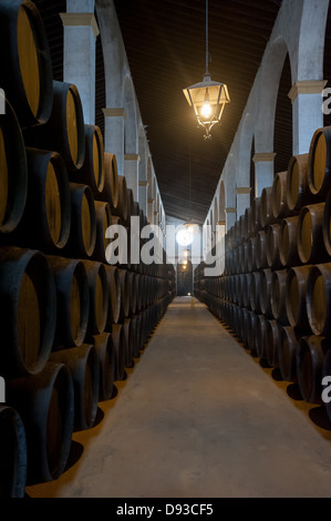 Sherry-Fässer in Jerez Bodega, Spanien Stockfoto