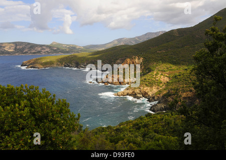 Küstenlandschaft südlich von Calvi, Balagne Region Haute-Corse, Korsika, Frankreich Stockfoto