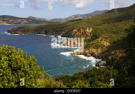 Küstenlandschaft südlich von Calvi, Balagne Region Haute-Corse, Korsika, Frankreich Stockfoto