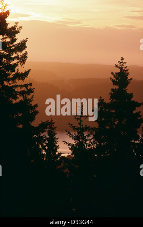 Silhouette Bäume und Berge in der Dämmerung Stockfoto