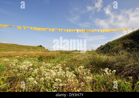 Darjeeling, Westbengalen, Indien Gebetsfahnen Stockfoto