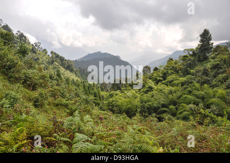 Indien, Sikkim Landschaft Stockfoto