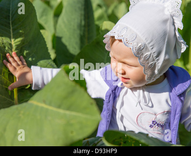 Lächelndes hübsches kleines Kind Mädchen in Blättern der Klette im park Stockfoto