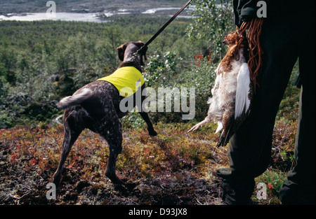 Mann mit Hund, Rückansicht Stockfoto