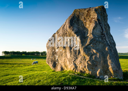 Steinen von Avebury in Wiltshire Stockfoto