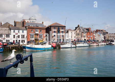 Weymouth Old Harbor Area, Dorset, England, Großbritannien Stockfoto