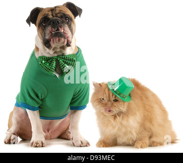 St Patricks Tag Hund und Katze isoliert auf weißem Hintergrund Stockfoto